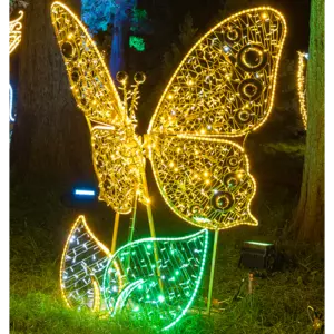 Schmetterling gold