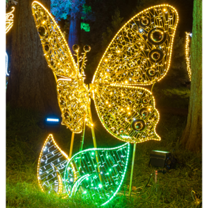 Schmetterling gold