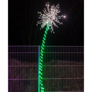 Pusteblume