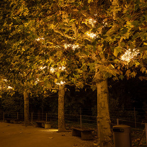 Lichtnester Neu