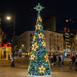 Kegelbaum, kl.Sternen 7,10m