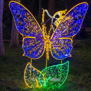 Schmetterling blau