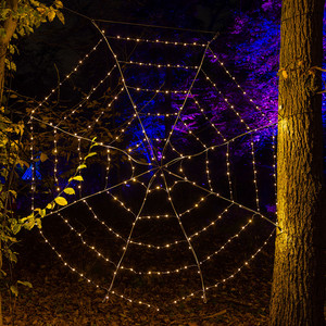 Spinnennetz
