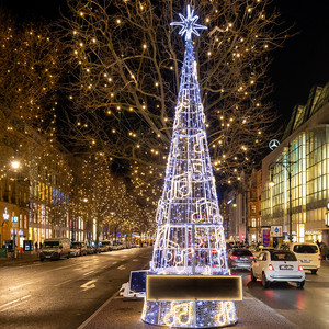 Kegelbaum 6,8m  m.Noten