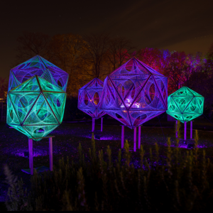 UV Stringart