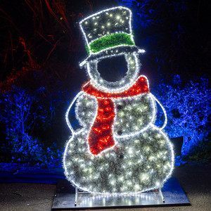Schneemann own face