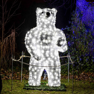 Eisbär stehend
