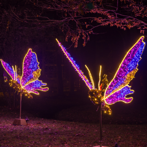 Schmetterling klein RGB