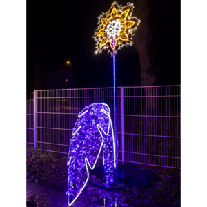 Stern Blume stehend