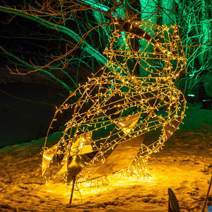 Eule gold 2m mit Lichtkontur