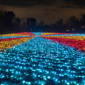 Field of Lights - Twinkly