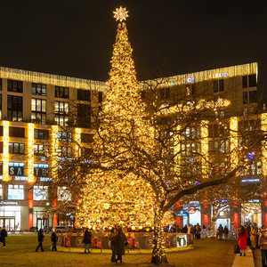 Weihnachtsbaum 18m