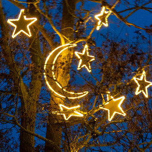 Mond 230V 120x107cm WW