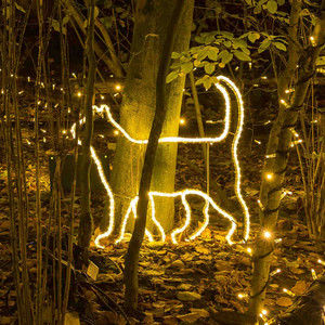 Katze 2D Lichtkontur