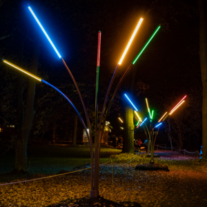 Lichtgras 5 armig