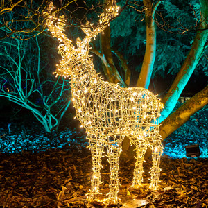 Hirsch 3D 2m mit Lichtpunkten