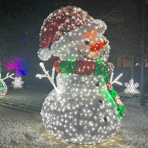 Schneemann 3D