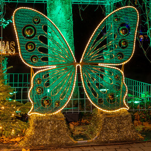 Butterfly mit Ständer