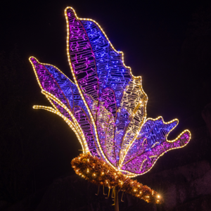 Schmetterling klein RGB