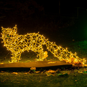 Fuchs (in silber)